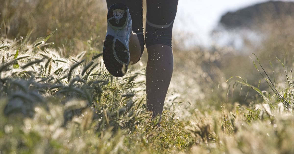 Adidas Adizero Boston 12: Er det fortsatt en mengdesko?