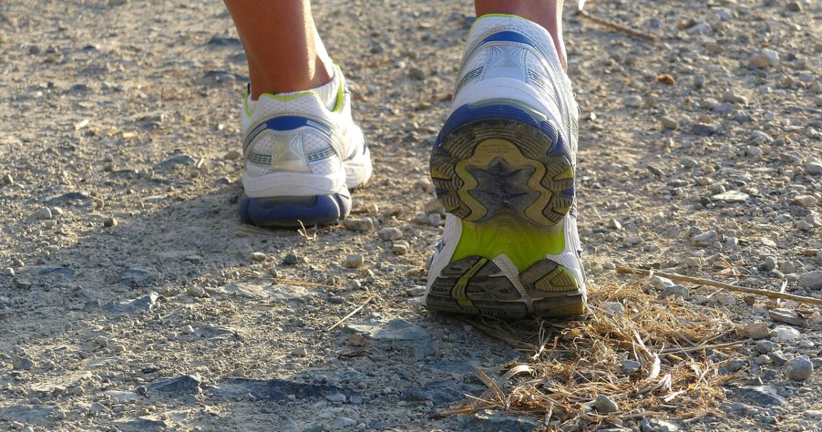 Løping med hund: Utstyr og tips for canicross